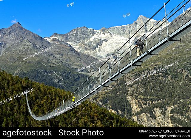 Hiker crossing the Charles Kuonen Suspension Bridge, the world’s longest pedestrian suspension bridge, in the Swiss Alps, Randa, Valais, Switzerland