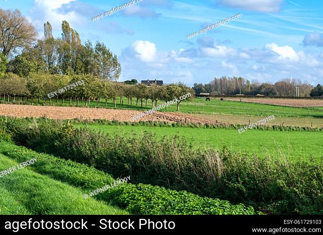 Green agriculture fields at the Flemish countryside, Asse ter Heide, Belgium