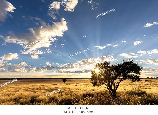 Africa, Botswana, Kgalagadi Transfrontier Park, Mabuasehube Game Reserve, Mabuasehube Pan at sunrise