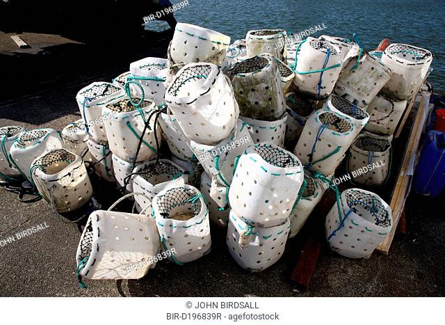 Crab pots on quayside