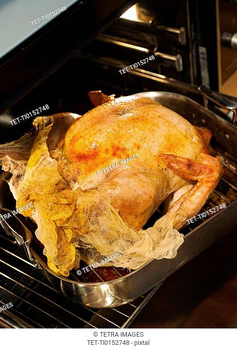 Turkey on roasting pan