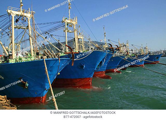 Fishing vessels at the Jagalchi Fish Market wharfside. Busan, Republic of Korea