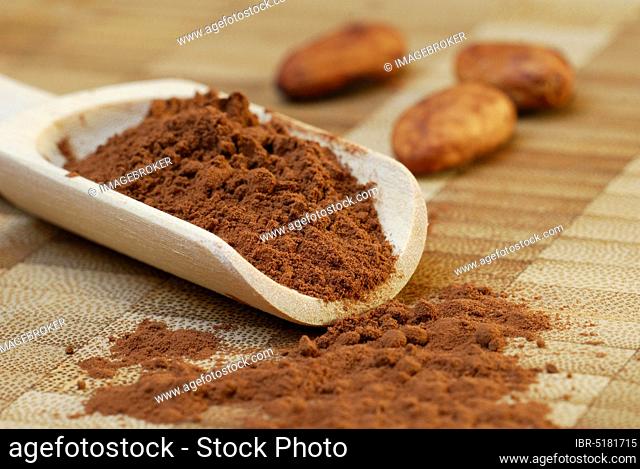 Cocoa powder and cocoa beans (Theobroma cacao) , cocoa, cocoa bean