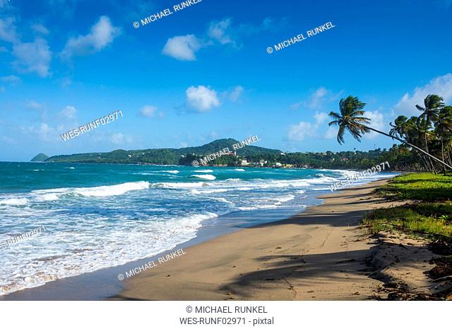 Scenic view of beach against blue sky at Sauteurs, Grenada, Caribbean