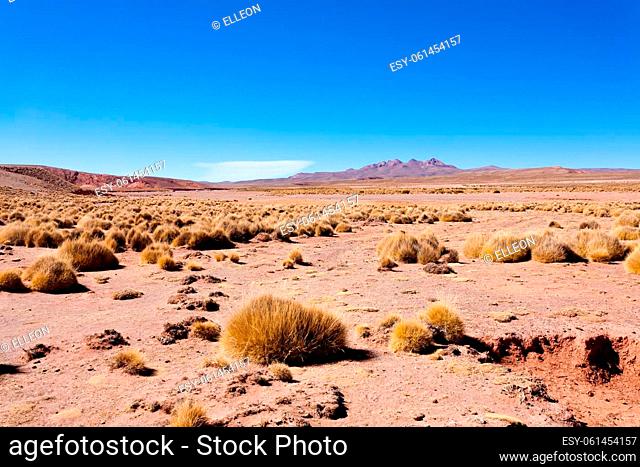 Bolivian mountains landscape, Bolivia.Andean plateau view