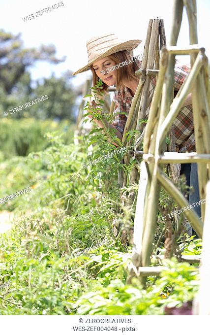 Female gardener at work