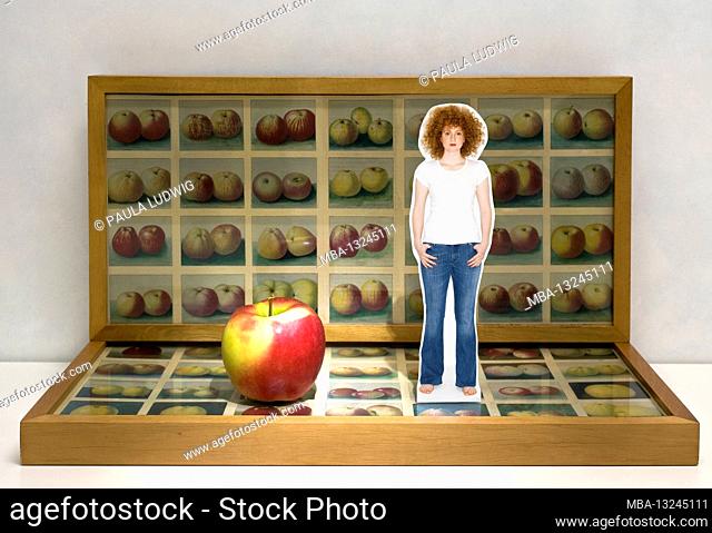 Woman stands next to an apple, background and underground pictures of apple varieties, full length