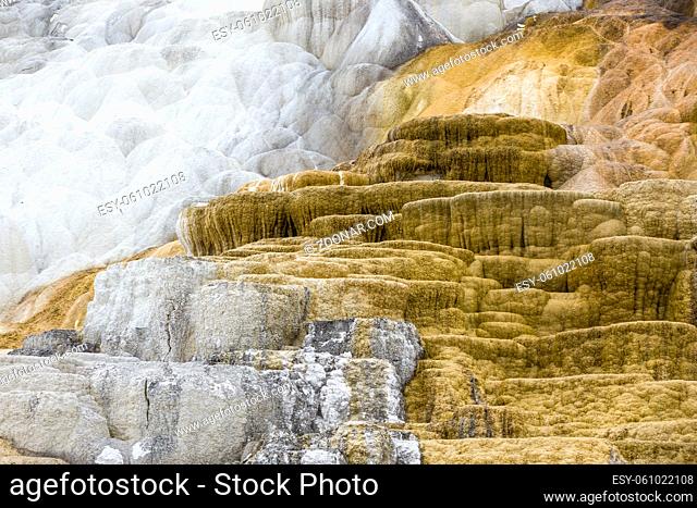 Abstract image of the calcium and mineral deposits at Mammoth hostsprings in Yellowstone National Park
