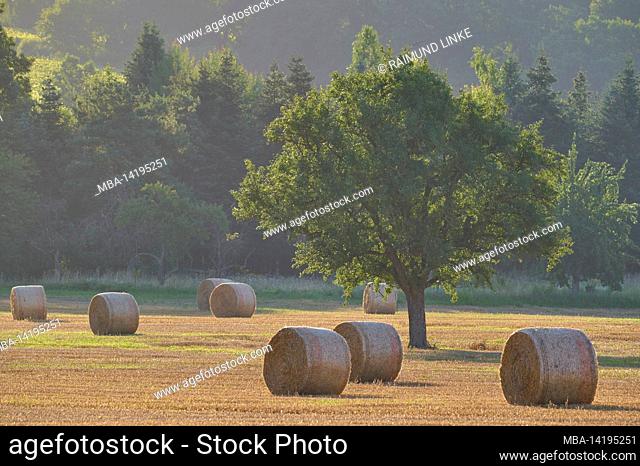 Grain field, harvested, straw bales, Miltenberg, Germany