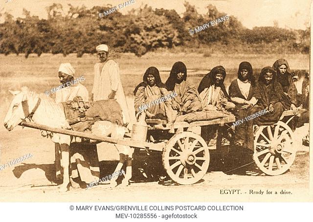 A group of Egyptian women taken for a ride on cart