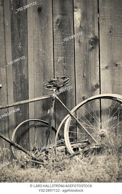 Old broken vintage bicycle and wooden wall. Rural still life