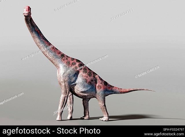 Conceptual illustration of Brachiosaurus, a large sauropod dinosaur that lived 155.7 million to 150.8 million years ago during the mid to late Jurassic Period
