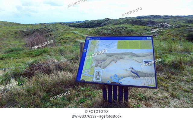 information sign in front of grass-grown dunes, Netherlands, South Holland, Coepelduynen, Noordwijk aan Zee