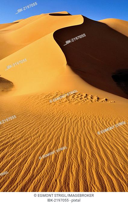 Sand dunes at Erg Mehedjibat, Immidir, Algeria, Sahara, North Africa