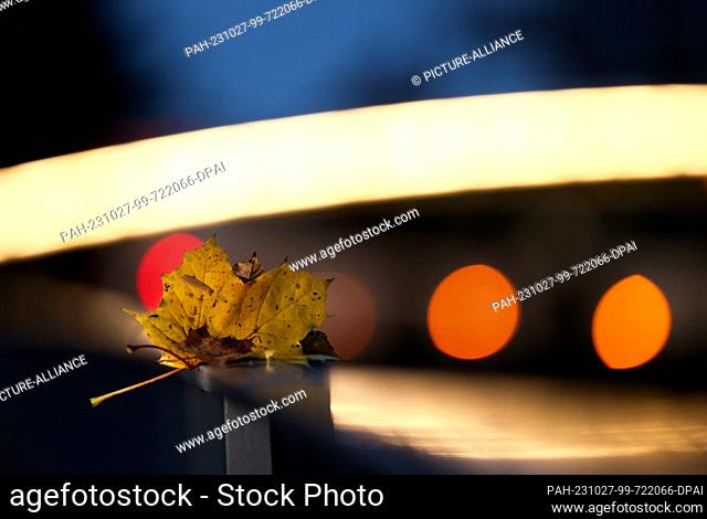 27 October 2023, Baden-Württemberg, Riedlingen: A yellow colored leaf lies on the railing of an illuminated bridge in the morning