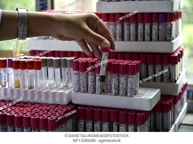 Guwahati, Assam, India. April 6, 2019. . Laboratory technician holds blood samples of a patient in the eve of World Health Day in Guwahati