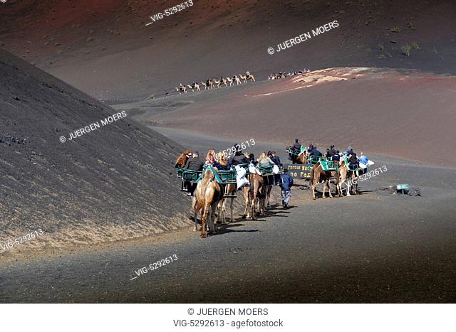 10.02.2015, Spain, ESP, Canary Islands, Lanzarote, Tourists sitting on Camels and be guided through the Timanfaya National Park