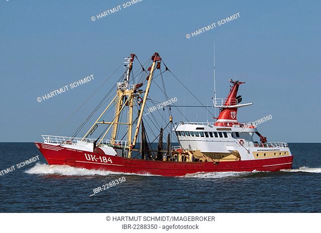 Side trawler Josephina Maria UK-184, North Sea, dragnet trawler