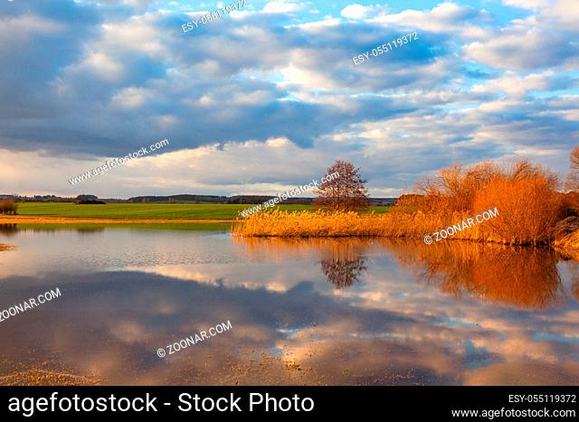 Golden autumn grass on the lake. Autumn landscape, sunny evening. Bright autumn grass with their reflection in water