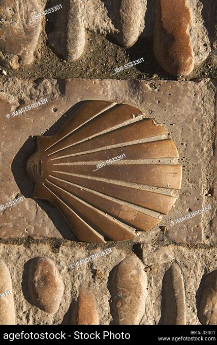 Way of St. James shell, Way of St. James emblem, Estella, Navarre, Way of St. James, Navarre, Way of St. James, Spain, Europe