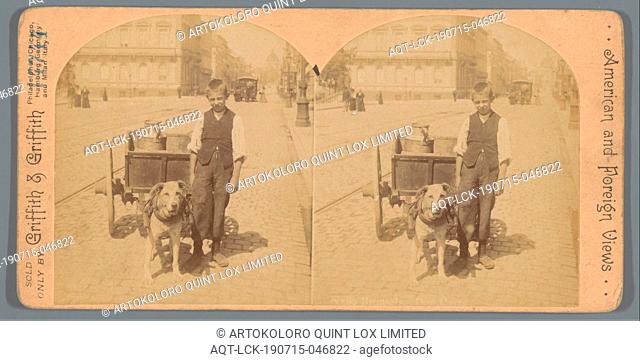 Brussels, Belgium / Brussels, Dog Cart, Griffith & Griffith, 1890 - 1910