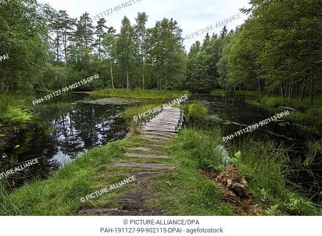 20 July 2019, Sweden, Tanumshede: View of a historic jetty and a fishing water belonging to the Vitlycke Museum in the municipality of Tanum