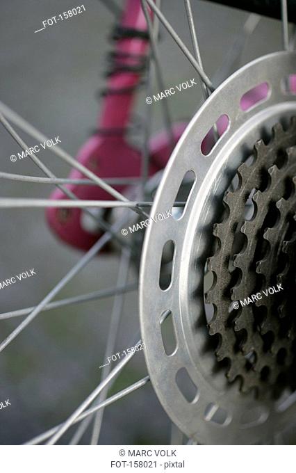 Close up of the gears of a bicycle