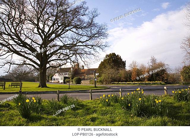 England, Surrey, Tilford, Traditional village green in spring with The Barley Mow public house and old cottages beyond