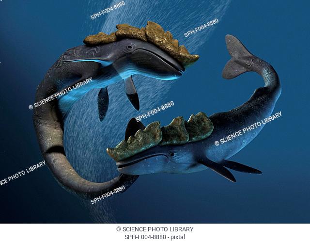 Leviathan sea monsters, computer artwork