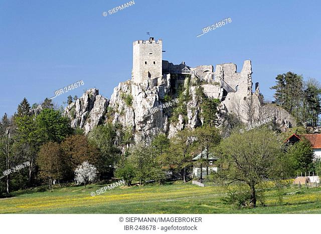 Weissenstein castle, Regen, Bayerischer Wald, Lower Bavaria, Germany