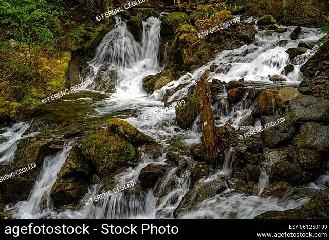 The Lower Bosumarne Fall alongside the rugged trail that goes through a scenic forest and leads to the Upper Bosumarne Fall, Chilliwack, British Columbia