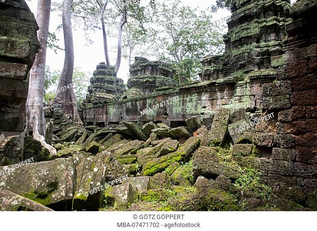 Siem Reap, Angkor, Temple Tha Prom, a temple in the jungle, overgrown by nature