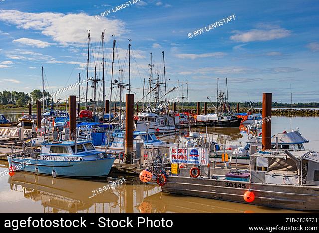 Vessels at the Steveston Fishermans Wharf advertising the arrival of Spot Prawns in British Columbia Canada