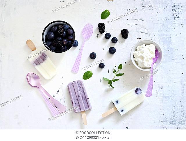 Homemade blueberry ice cream and ingredients