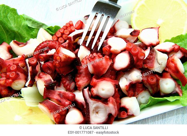 octopus salad