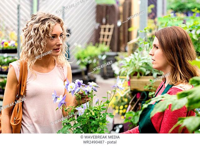 Female florist talking to woman