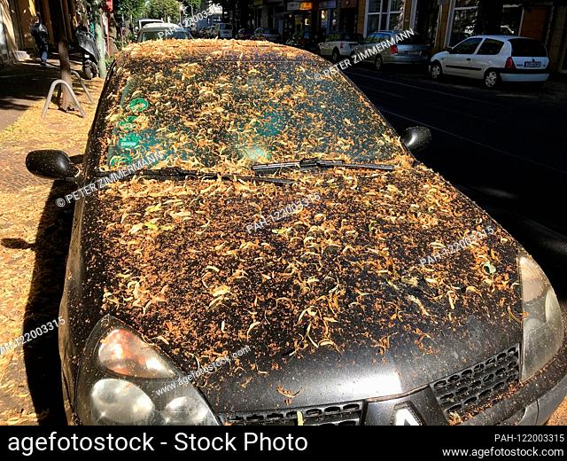On July 4th, 2019, a car stands on a street in Berlin-Weissensee (Pankow district) under a blossoming linden tree. The entire vehicle is completely covered by...