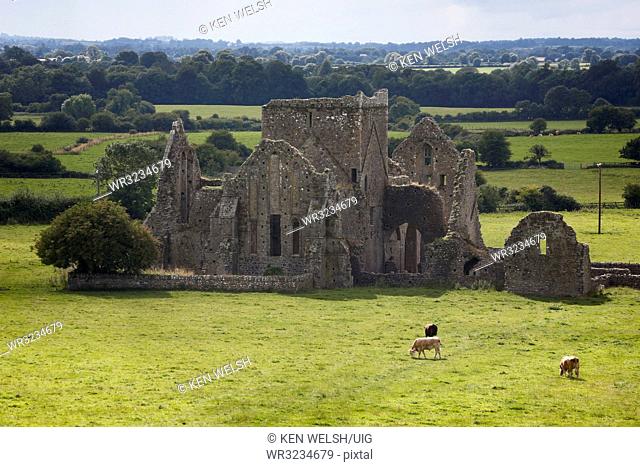 Cashel, Ireland. Ruins of Hore Abbey