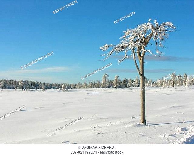 Winter in Scheden III