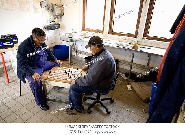 Fishermen playing 'Checkers' board game  Also called 'Draughts' board game  Fishermen's huts, Narsaq, South Greenland