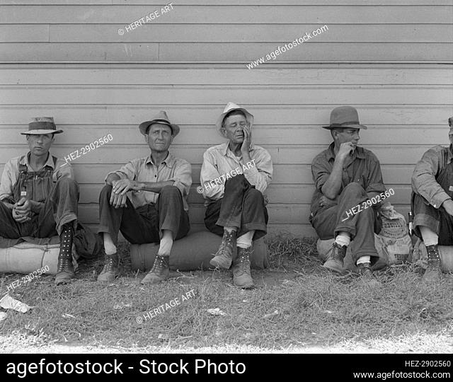 Bindle stiffs in town three weeks before opening of Klamath.., Tule Lake, Siskiyou County, CA, 1939 Creator: Dorothea Lange