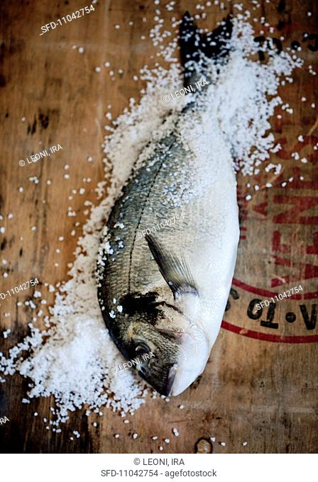 Fresh bream with sea salt on a wooden surface