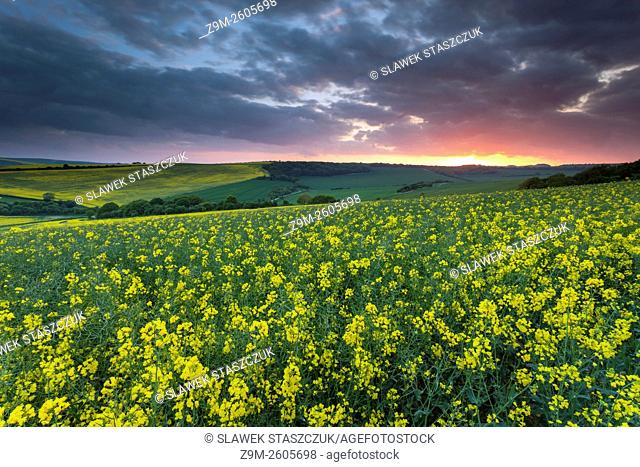Spring sunset in South Downs National Park near Lewes, East Sussex, England