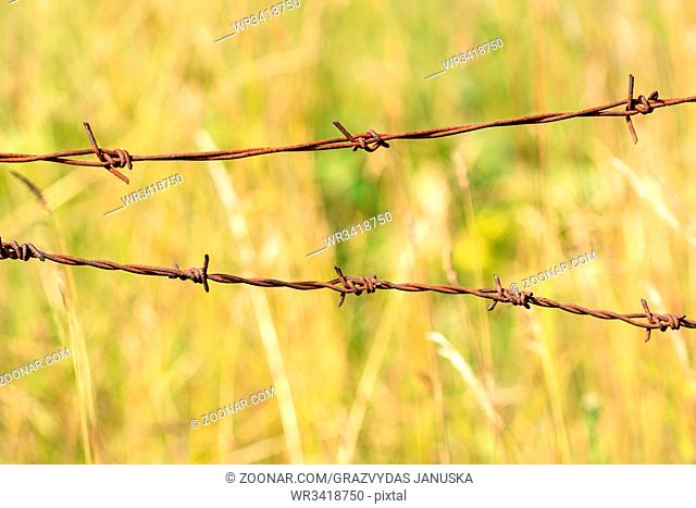 Close up old barbed wire fence