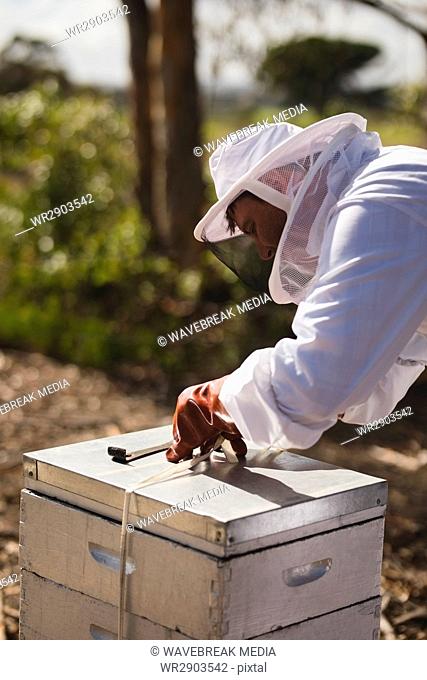 Beekeeper working on honeycomb at apiary