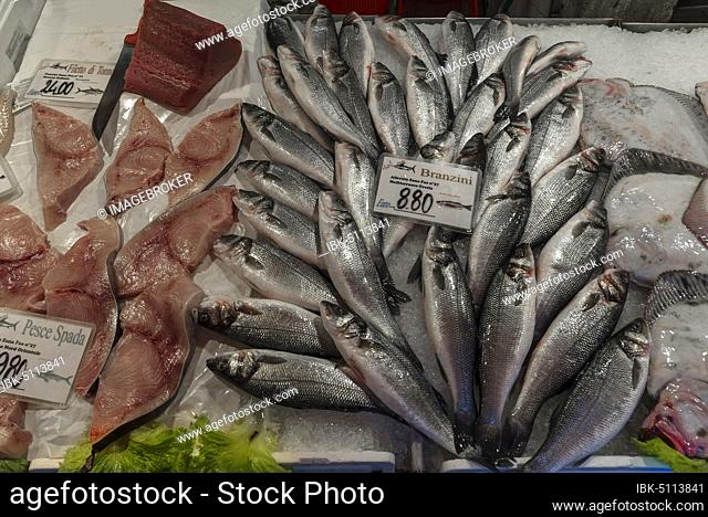 Fresh Temperate basses (Moronidae) and Swordfish (Xiphias gladius) on ice, fish market, Venice, Veneto, Italy, Europe