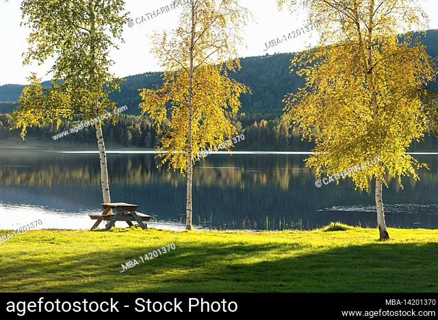 Sweden, Varmland, Övre Brocken, lake, autumn, calm evening mood, picnic table under birch trees