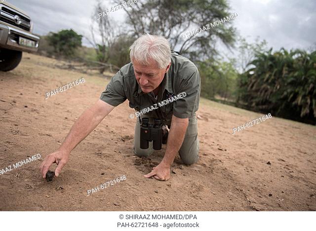 Professional Hunter, Stan Burger holds a ball of Wildeebeest dung in his hand at the Groenvley Gamefarm, Waterberg, Limpopo, 17 October 2015