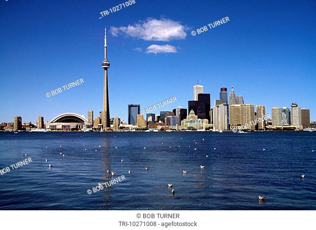 Ontario Canada Toronto Waterfront Showing Cn Tower