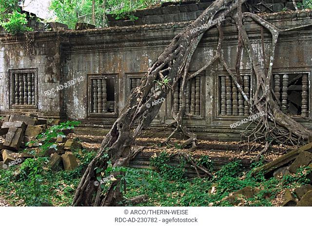 Ruins of Beng Mealea temple, Angkor, Siem Reap, Cambodia